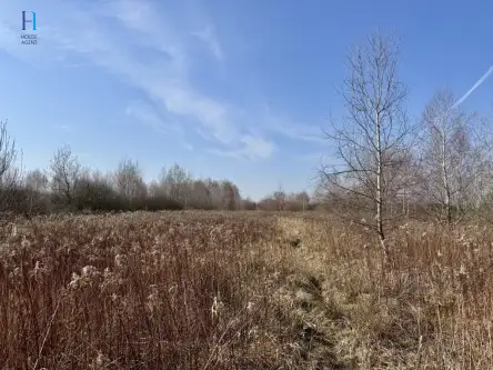 Nieborów ,  Wschodnia   5