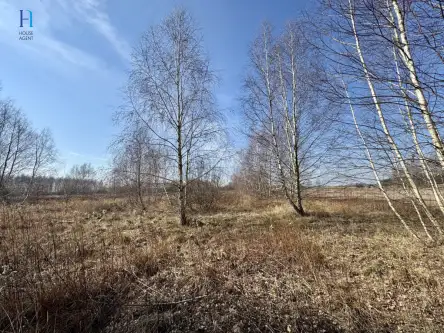 Nieborów ,  Wschodnia   7