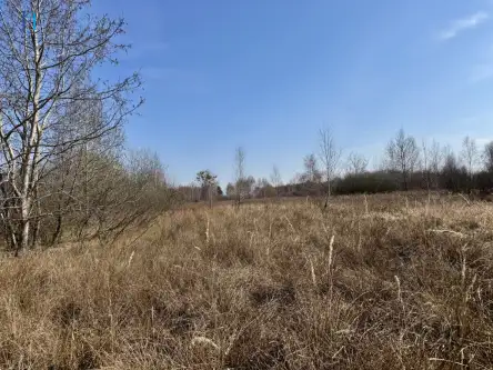 Nieborów ,  Wschodnia   8