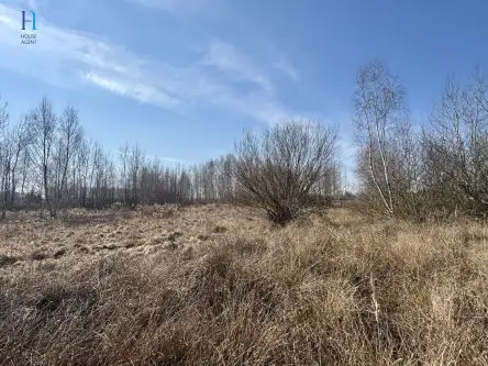 Nieborów ,  Wschodnia   9