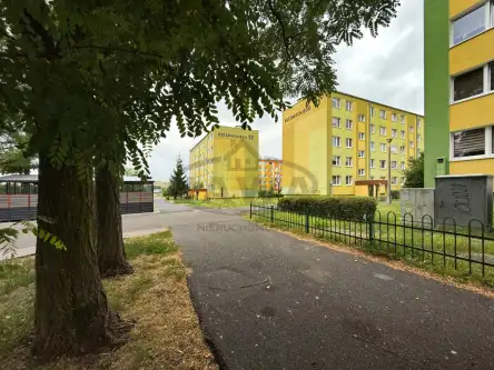 Bydgoszcz ,  Wojciecha Rzeźniackiego   16