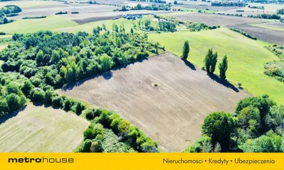 Poznań ,  Morasko   7