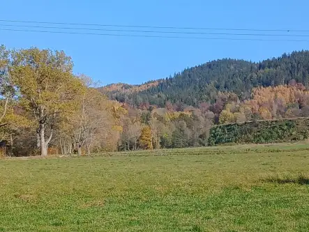  Kowary   Tadeusza Rejtana 