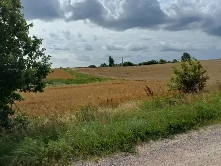 Żukowo ,  Dębowa   10