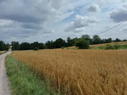 Żukowo ,  Dębowa   6