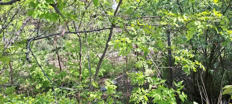 Ząbki ,  Józefa Piłsudskiego   2