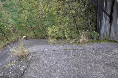 Zgierz ,  Pieńki   2