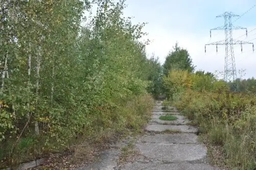 Zgierz ,  Pieńki   5