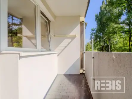 Kraków ,  Telimeny   2