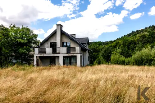 Królowa górna   17