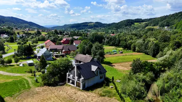 Królowa górna   19