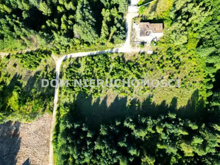 Tomaszkowo ,  Czajki   10