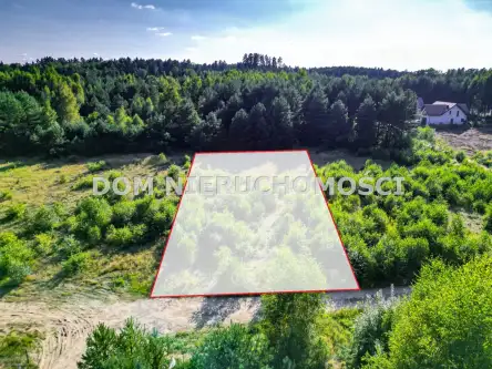 Tomaszkowo ,  Czajki   13