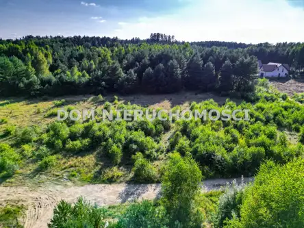 Tomaszkowo ,  Czajki   14