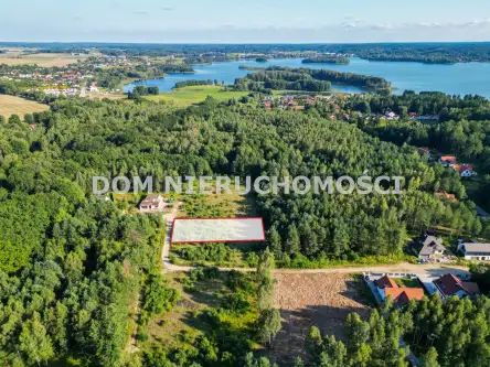 Tomaszkowo ,  Czajki   3