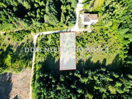 Tomaszkowo ,  Czajki   9