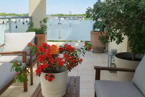 Warszawa ,  Wyględowska   15