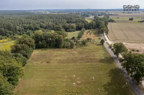 Dąbrowa bolesławiecka   10