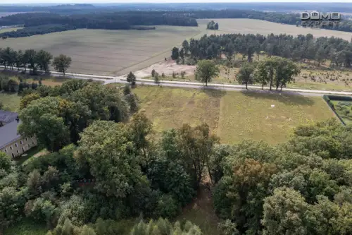 Dąbrowa bolesławiecka   11