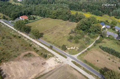 Dąbrowa bolesławiecka   12