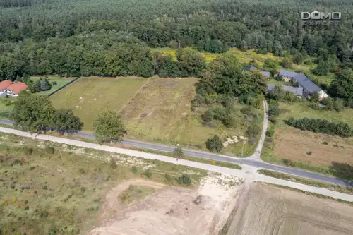 Dąbrowa bolesławiecka   4