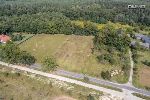 Dąbrowa bolesławiecka   5