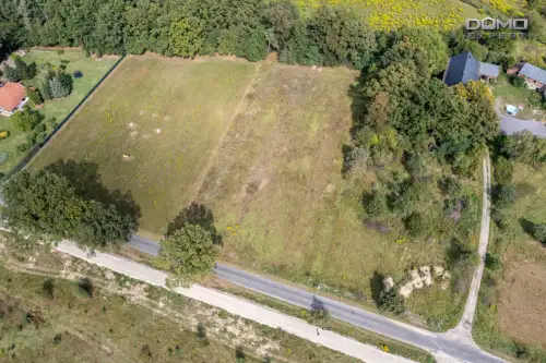 Dąbrowa bolesławiecka   6