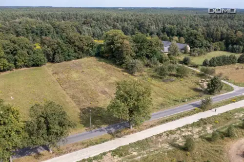 Dąbrowa bolesławiecka   7