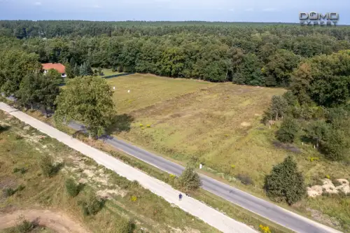 Dąbrowa bolesławiecka   8