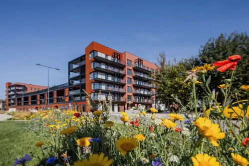 Gdańsk ,  Sienna Grobla   8