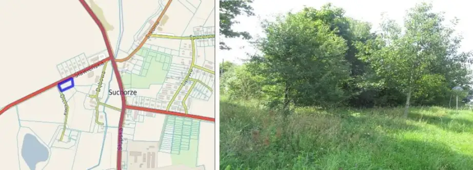  Suchorze  