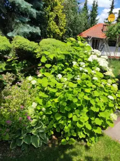 Leszno ,  Michała Wołodyjowskiego   11