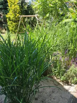 Leszno ,  Michała Wołodyjowskiego   12