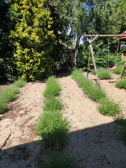 Leszno ,  Michała Wołodyjowskiego   14