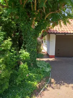 Leszno ,  Michała Wołodyjowskiego   5