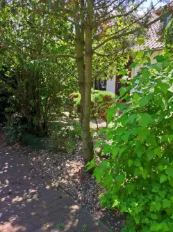 Leszno ,  Michała Wołodyjowskiego   6