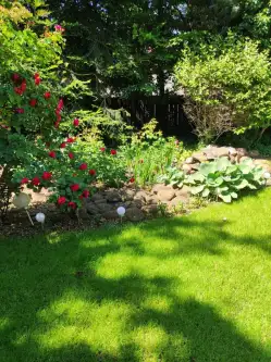 Leszno ,  Michała Wołodyjowskiego   8