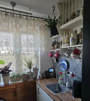 Dominowo ,  Jesionowa   8