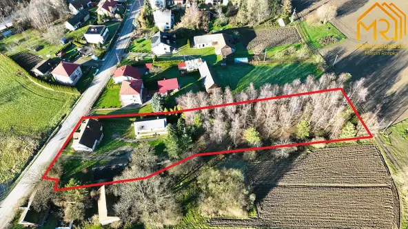 łęka siedlecka   2