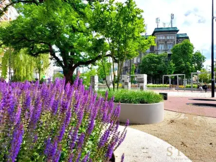 Szczecin ,  Księcia Bogusława X   8