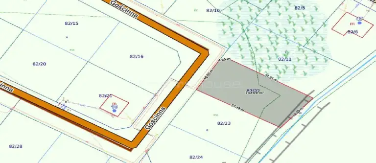 Czarna łąka ,  Gościnna   3