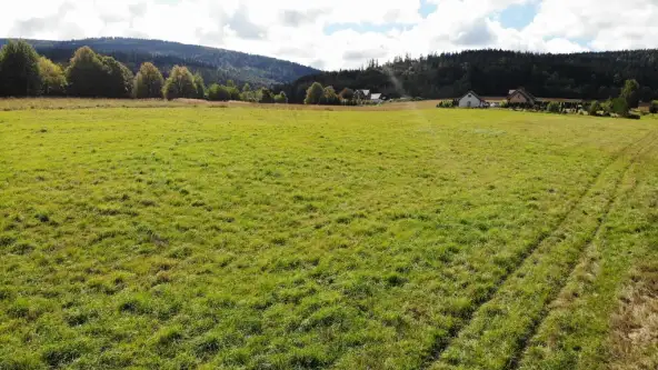 Szczytna ,  Wiosenna   5