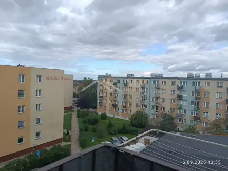 Braniewo ,  Drewniana   11