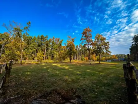 Niwy ostrołęckie   7