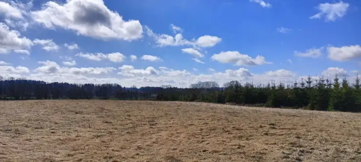 Grabowiec ,  Lipowa   8