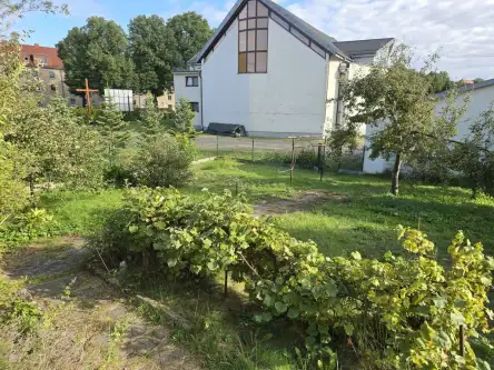 Szczecinek ,  dr Genowefy Matusewicz   2