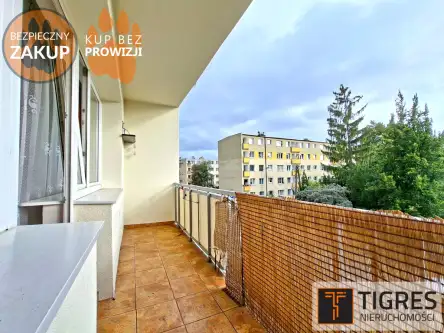  Pruszcz Gdański   Tysiąclecia 