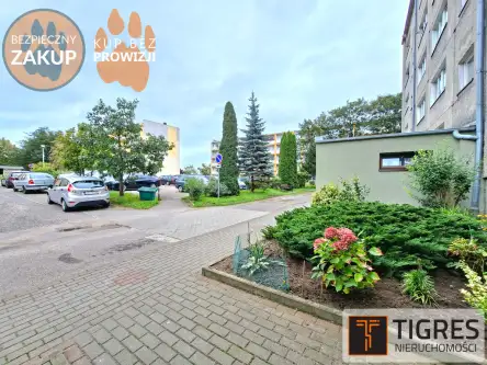 Pruszcz Gdański ,  Tysiąclecia   9