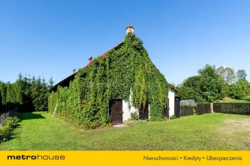 Stare kiełbonki   16