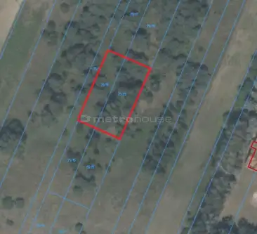  Podlesie mleczkowskie  